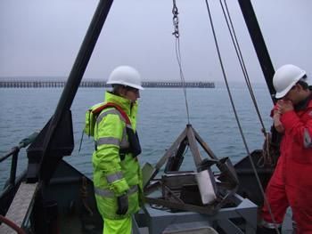Seastar Survey benthic survey for Newhaven Port 